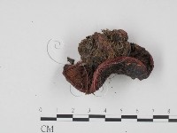 登錄號:F0021993藏品圖，第3張