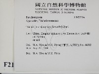 登錄號:F0021994藏品圖，第2張