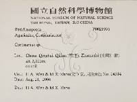 登錄號:F0021995藏品圖，第2張