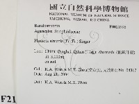 登錄號:F0021996藏品圖，第2張