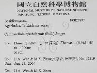 登錄號:F0021997藏品圖，第2張