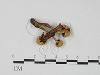 登錄號:F0022000藏品圖，第3張