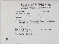 紅菇屬藏品圖，第2張