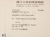 館號:F0022003藏品圖，第2張