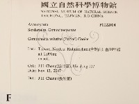 登錄號:F0022004藏品圖，第2張