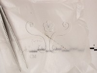 登錄號:F0022004藏品圖，第1張