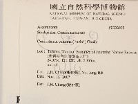 館號:F0022005藏品圖，第2張