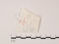 館號:F0022005藏品圖，第1張