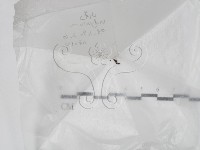 登錄號:F0022006藏品圖，第1張