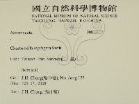 登錄號:F0022007藏品圖，第2張