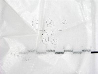 登錄號:F0022009藏品圖，第1張