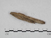 登錄號:F0022011藏品圖，第4張