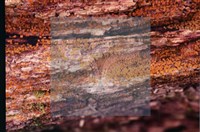 登錄號:F0022011藏品圖，第5張