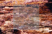 登錄號:F0022011藏品圖，第6張