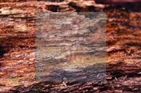 登錄號:F0022011藏品圖，第7張