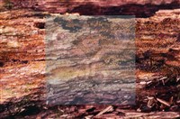 登錄號:F0022011藏品圖，第8張