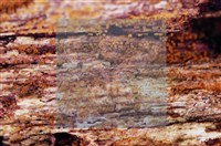 登錄號:F0022011藏品圖，第9張