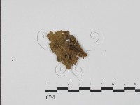 登錄號:F0022013藏品圖，第1張