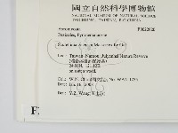 登錄號:F0022020藏品圖，第2張