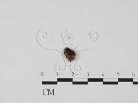 登錄號:F0022020藏品圖，第1張