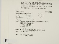 炭角菌屬藏品圖，第2張