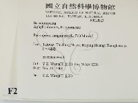 血紅密孔菌藏品圖，第2張