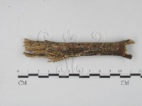 登錄號:F0022024藏品圖，第3張