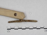 登錄號:F0022025藏品圖，第1張