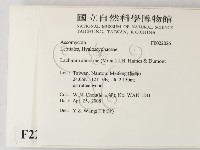 登錄號:F0022026藏品圖，第2張