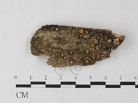 登錄號:F0022026藏品圖，第1張