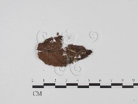登錄號:F0022027藏品圖，第3張