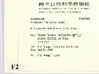 登錄號:F0022028藏品圖，第2張