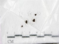 登錄號:F0022028藏品圖，第1張