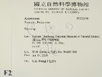 登錄號:F0022029藏品圖，第2張