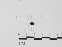登錄號:F0022030藏品圖，第3張
