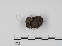 登錄號:F0022031藏品圖，第3張