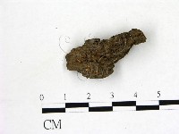 登錄號:F0022033藏品圖，第1張