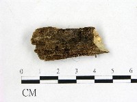 登錄號:F0022034藏品圖，第1張