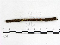 登錄號:F0022035藏品圖，第3張
