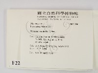 登錄號:F0022036藏品圖，第2張