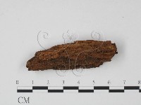 登錄號:F0022036藏品圖，第1張