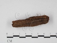 登錄號:F0022036藏品圖，第3張