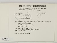 登錄號:F0022037藏品圖，第2張