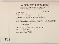登錄號:F0022038藏品圖，第2張