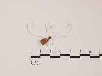 登錄號:F0022038藏品圖，第1張