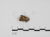 登錄號:F0022039藏品圖，第3張