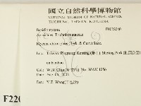 發光小菇藏品圖，第2張