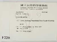 登錄號:F0022041藏品圖，第2張