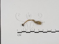 登錄號:F0022041藏品圖，第3張