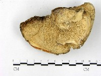 登錄號:F0022042藏品圖，第3張